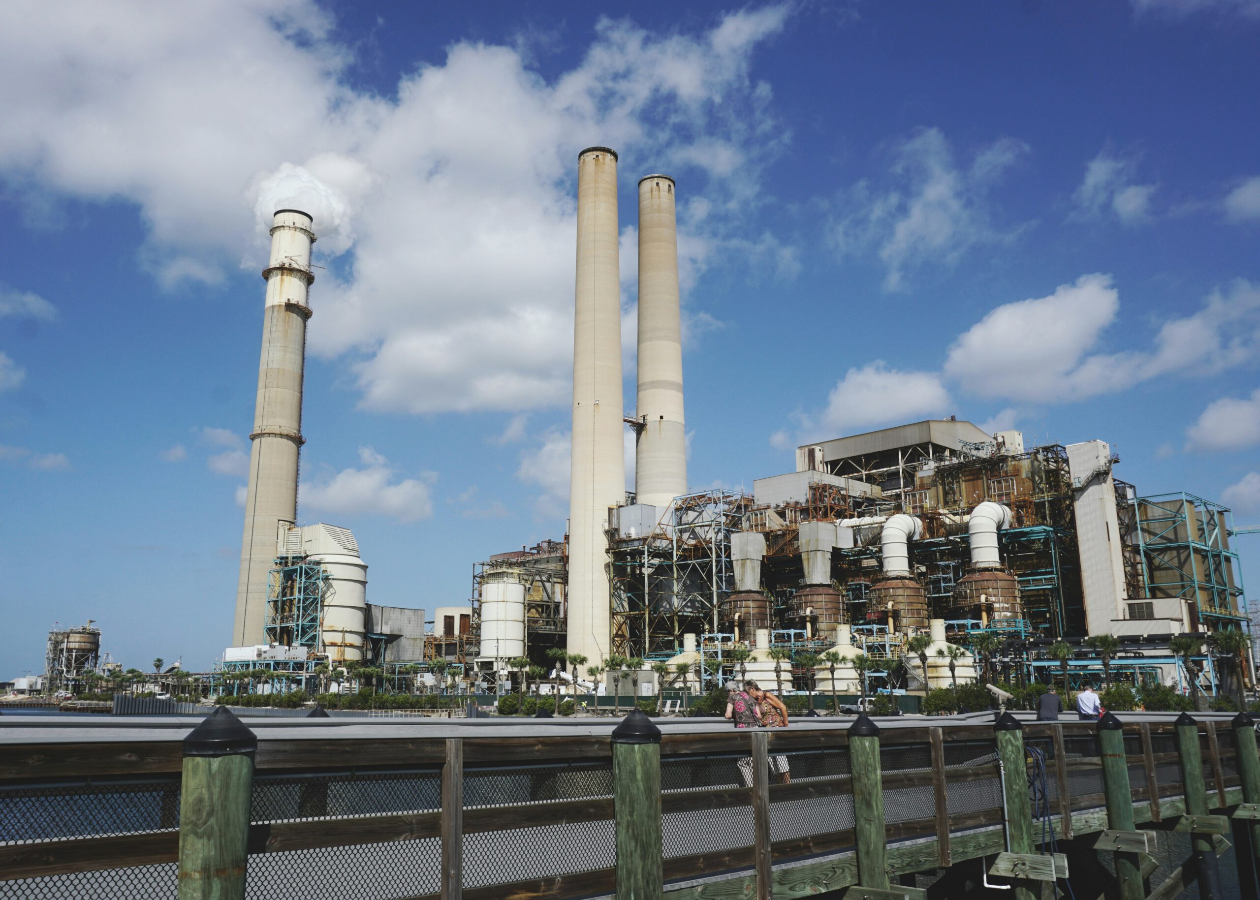 the-tampa-bay-estuary-program-2uknuNm0BeM-unsplash